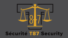T87 Security